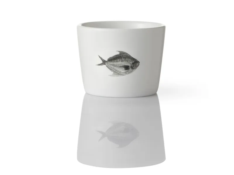 Yucang Teacup (Modern) — 5