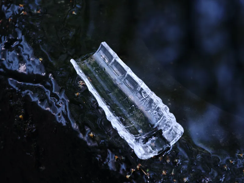 Ice Bamboo Chaze — 2