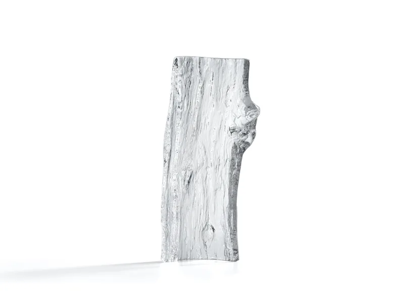 Ice Bark Chaze — 1