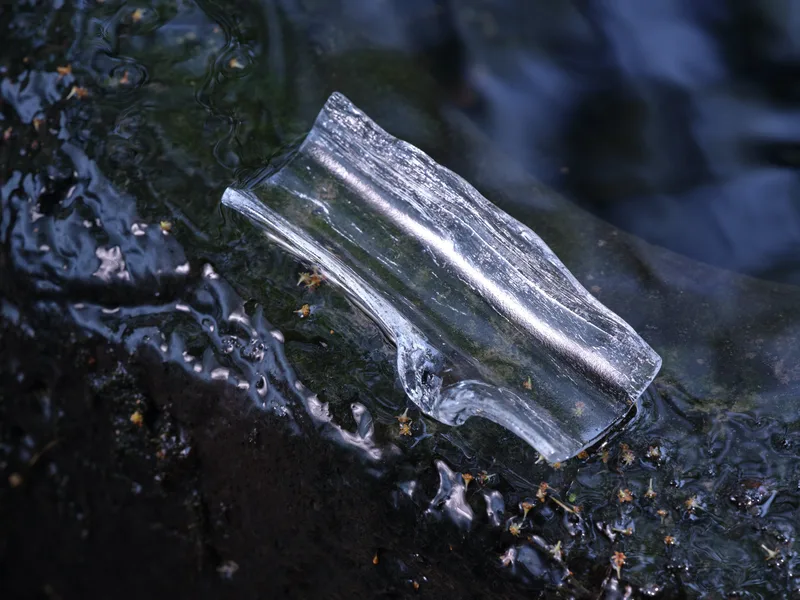 Ice Bark Chaze — 2