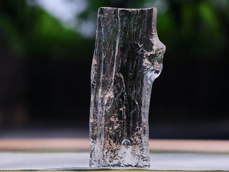 Ice Bark Chaze — 3