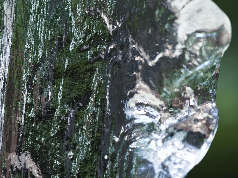 Ice Bark Chaze — 4