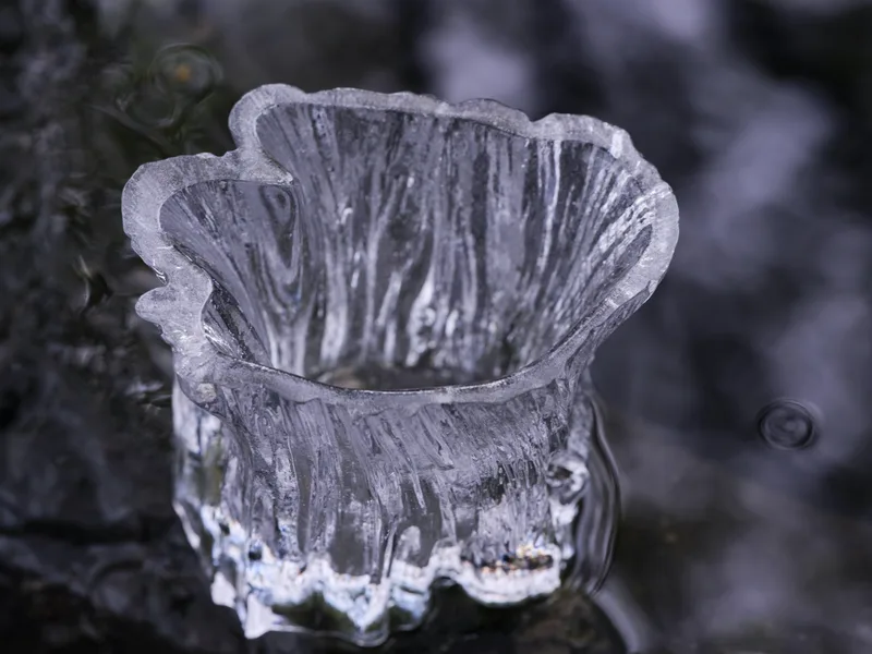 Ice Bark Vase — 3