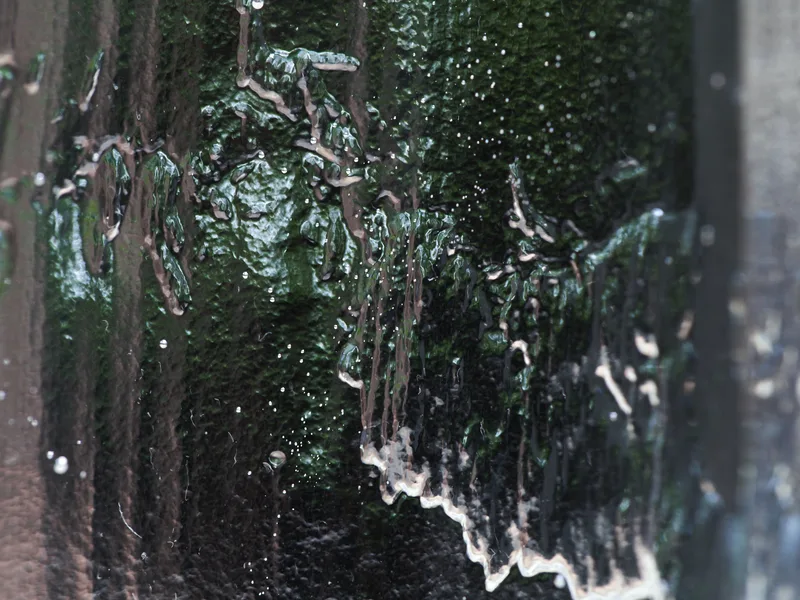 Ice Jade Chaze — 4