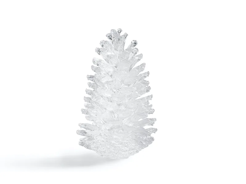 Ice Pine Cone — 1
