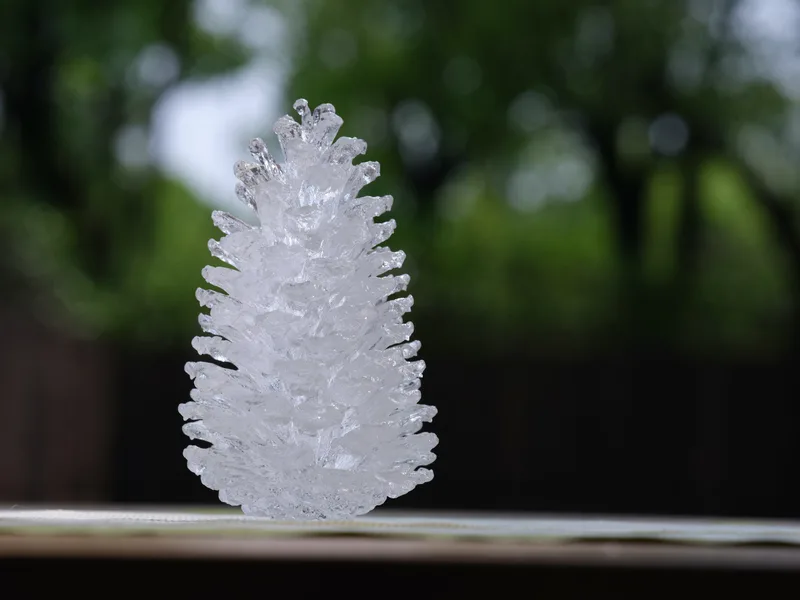 Ice Pine Cone — 2