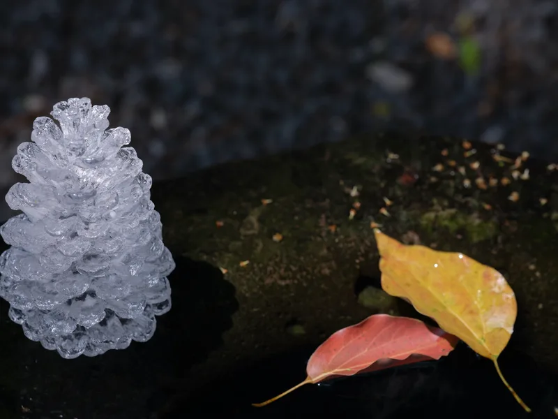 Ice Pine Cone — 3