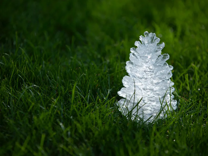 Ice Pine Cone — 4