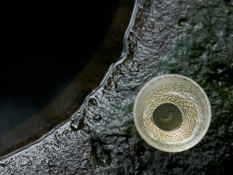 Ice Ripple Tea Cup — 2