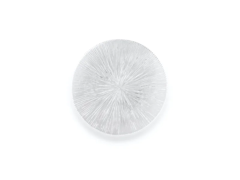 Ice Streak Brewing Vessel Plate — 1
