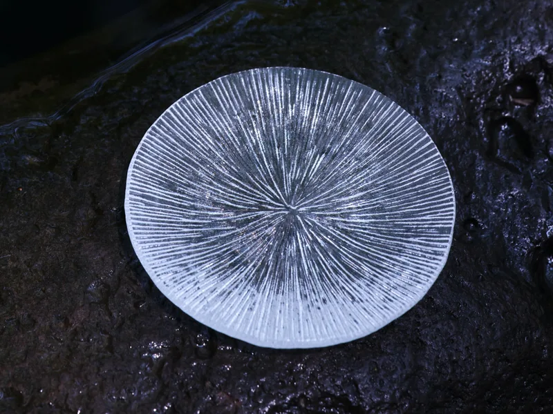 Ice Streak Brewing Vessel Plate — 2