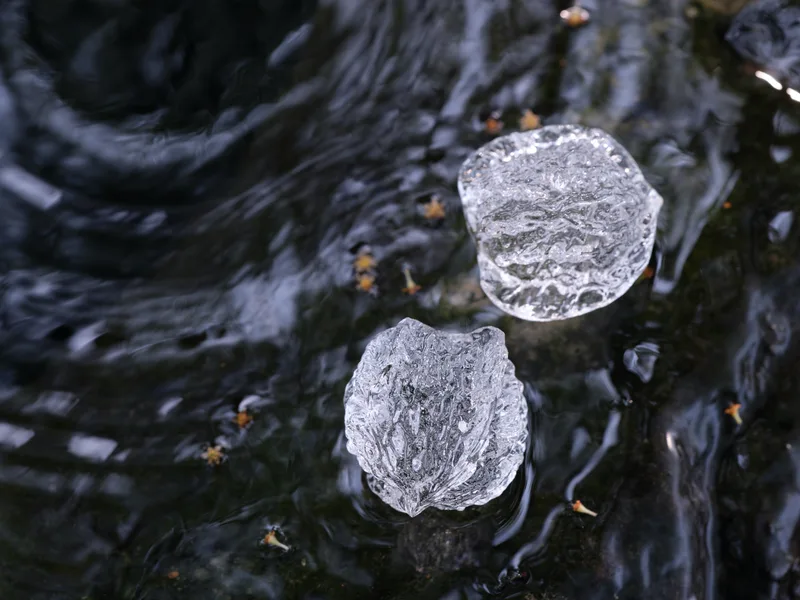 Ice Walnuts — 2