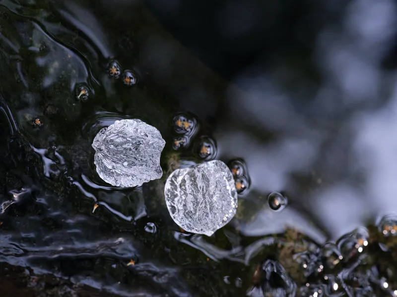 Ice Walnuts — 3