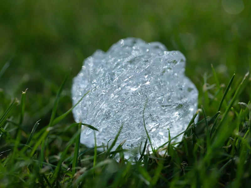 Ice Walnuts — 4