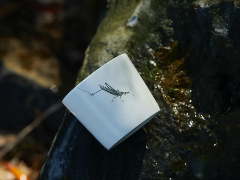 Outlier — 4