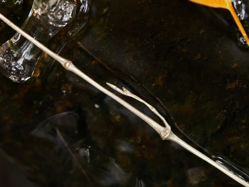 Silver Branch Tea Pick — 4