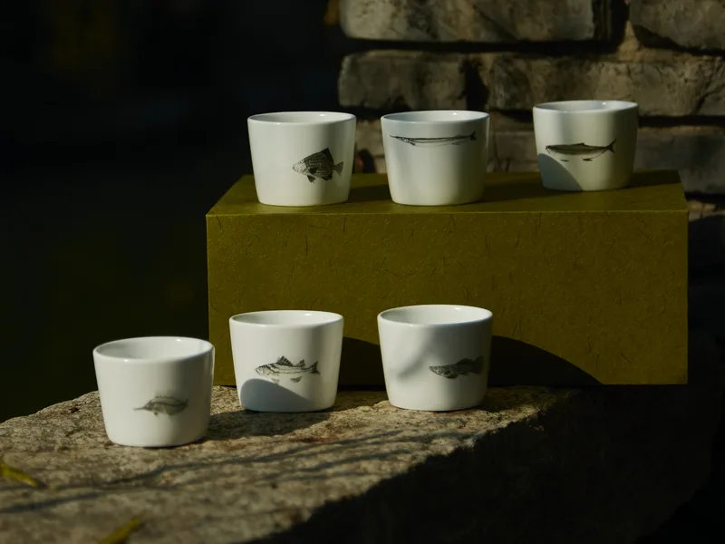 Six Modern Jingdezhen Porcelain Cups Set — 2