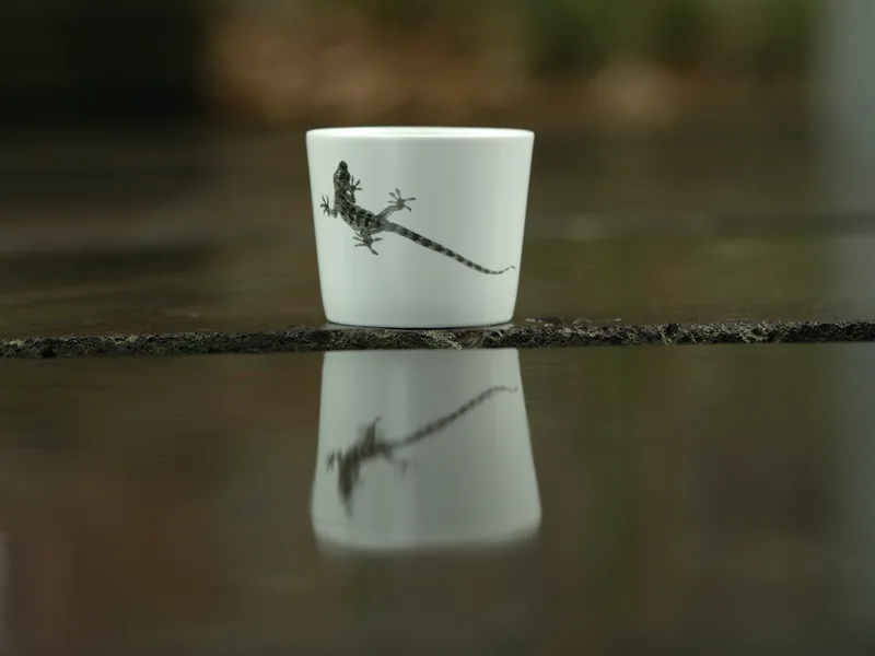 The Nimble One — 2
