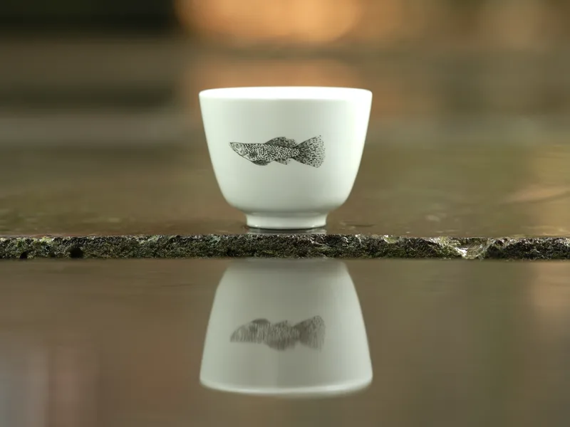 Yuhuan Teacup (Classic) — 4