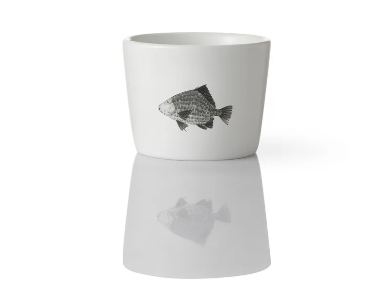 Yujian Teacup (Modern) — 5