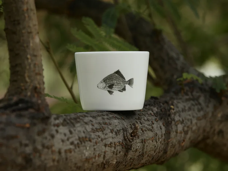 Yujian Teacup (Modern) — 6