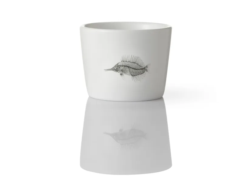 Yumeng Teacup (Modern) — 5