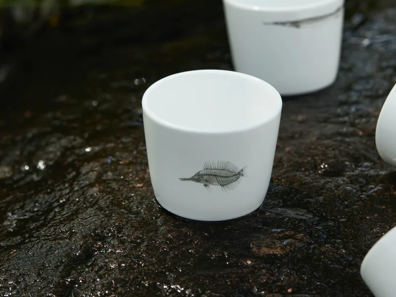 Yumeng Teacup (Modern) — 6