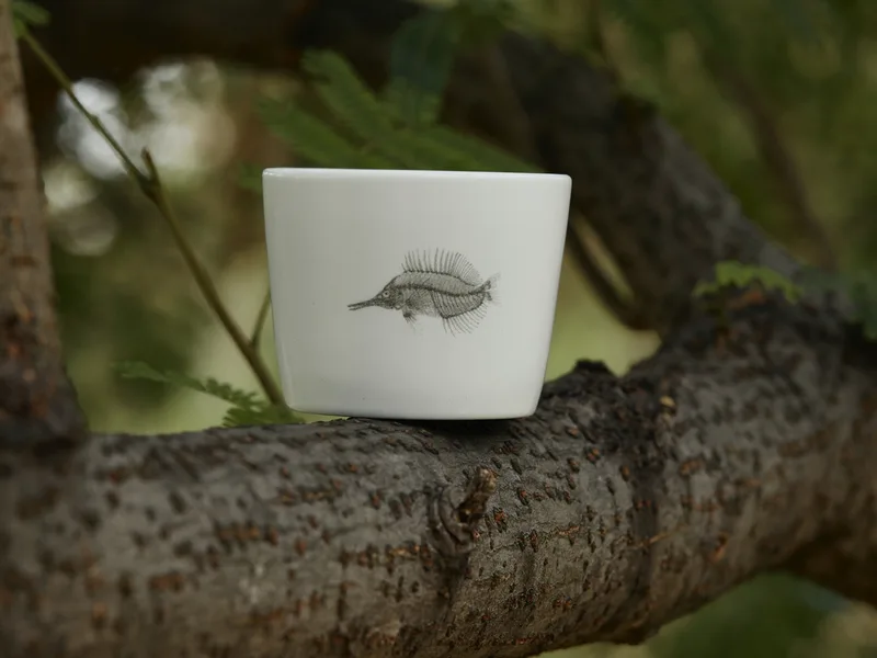 Yumeng Teacup (Modern) — 7