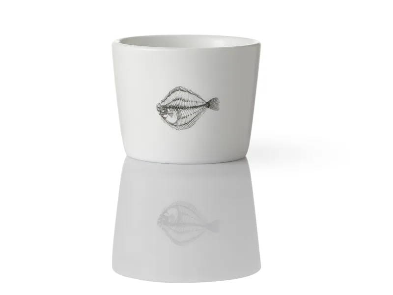 Yuqi Teacup (Modern) — 5