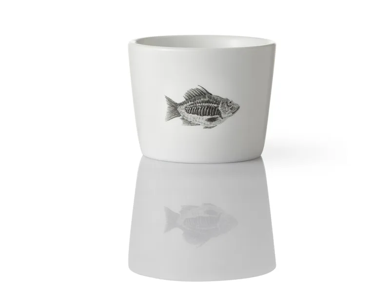 Yuxi Teacup (Modern) — 5