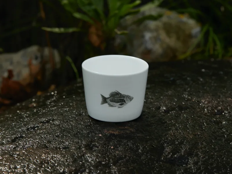 Yuxi Teacup (Modern) — 6